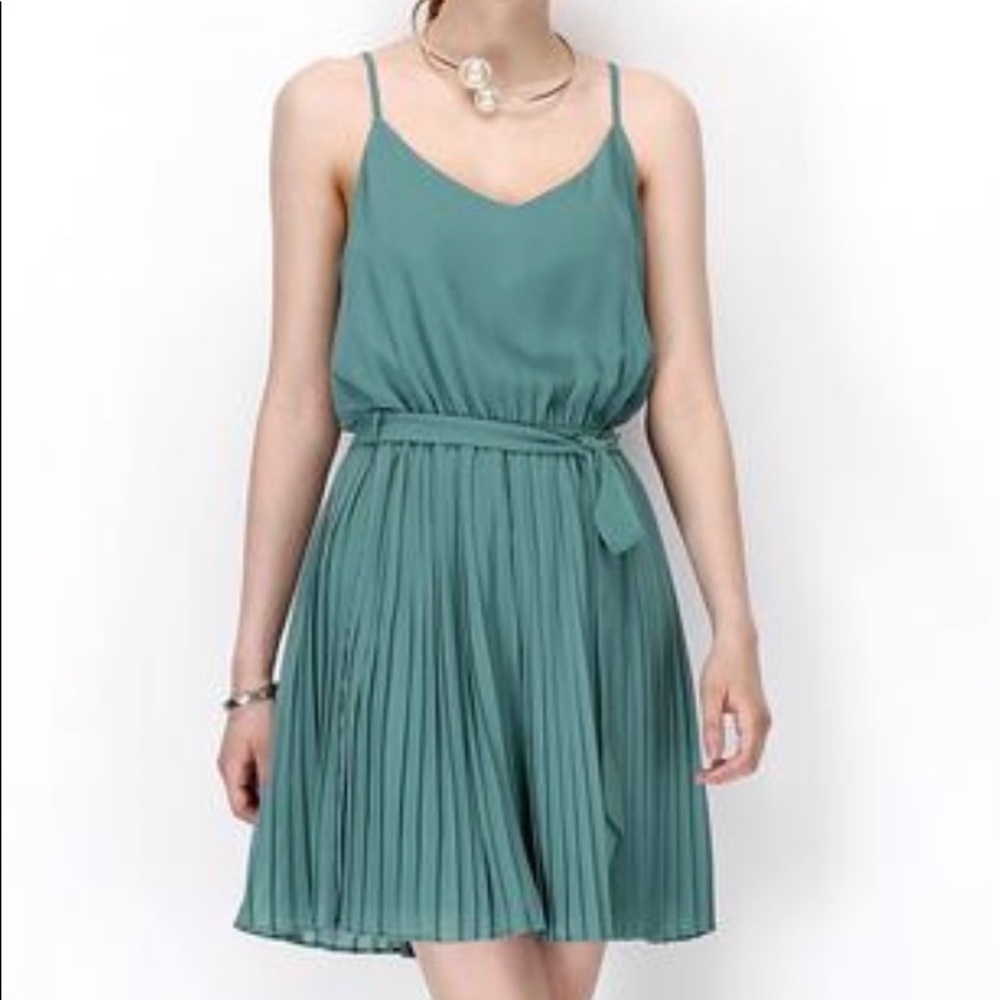 Naked Zebra Flared Dress